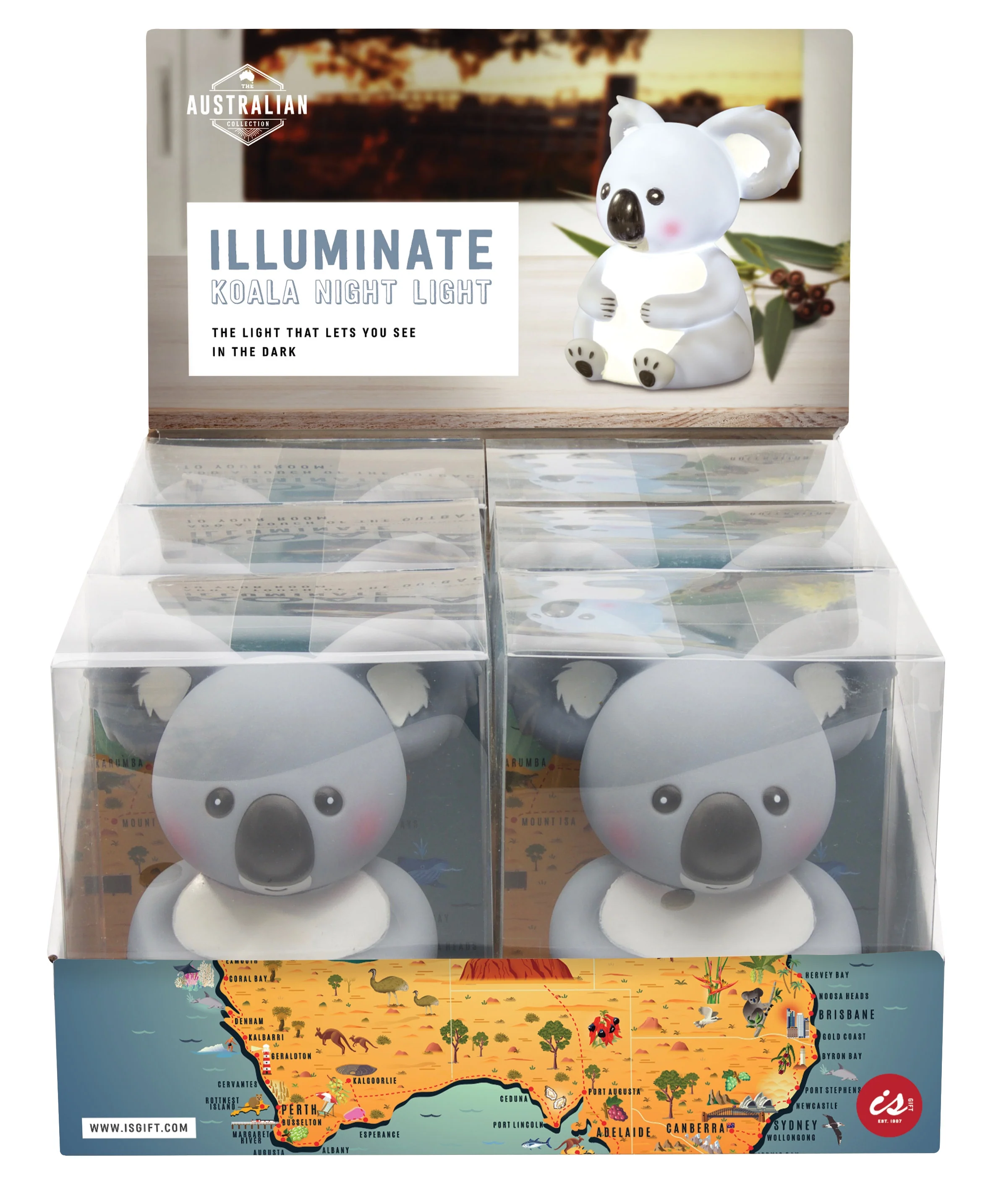 Illuminate Koala