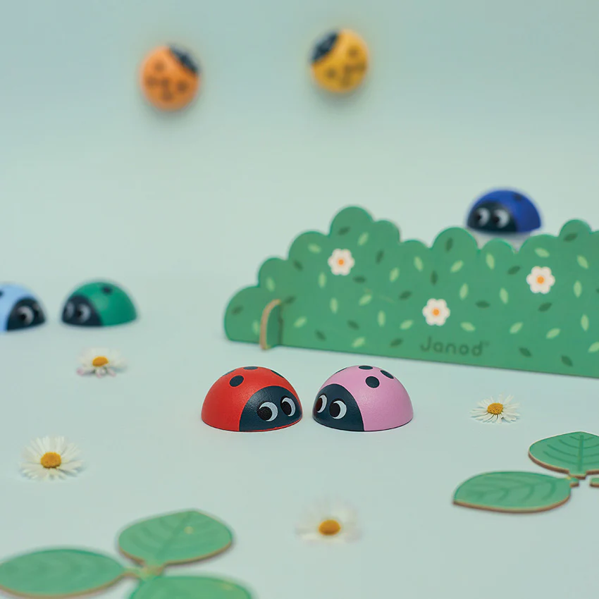 Ladybird Memory Game - Image 3
