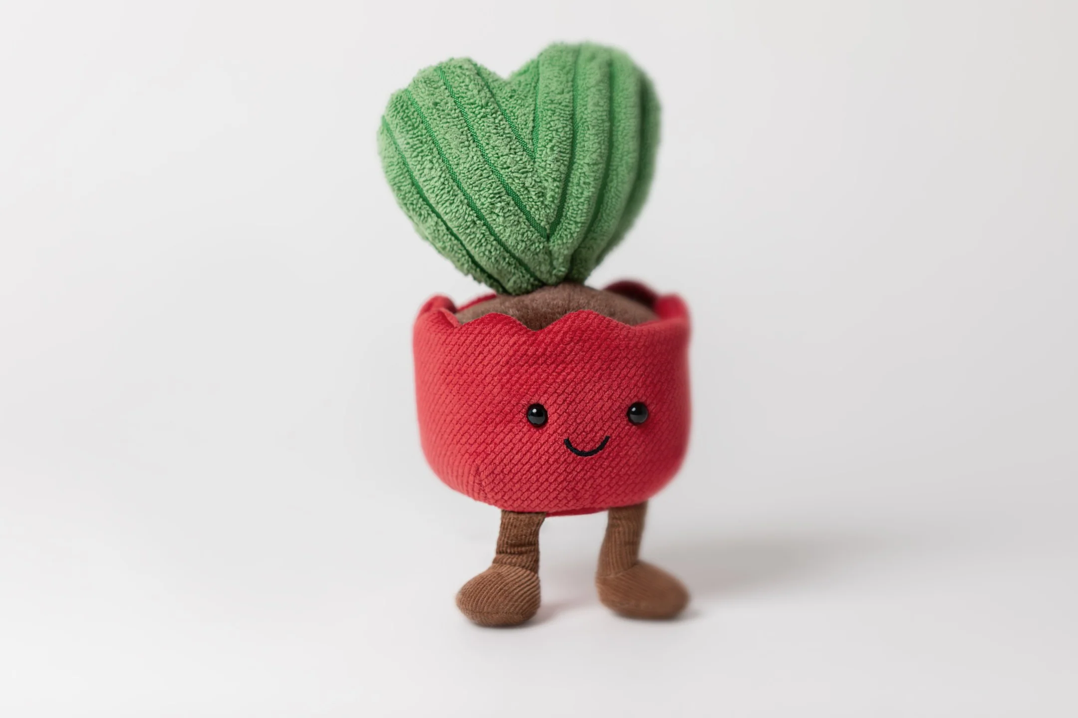 Amuseables Kerrii Cactus - Image 6