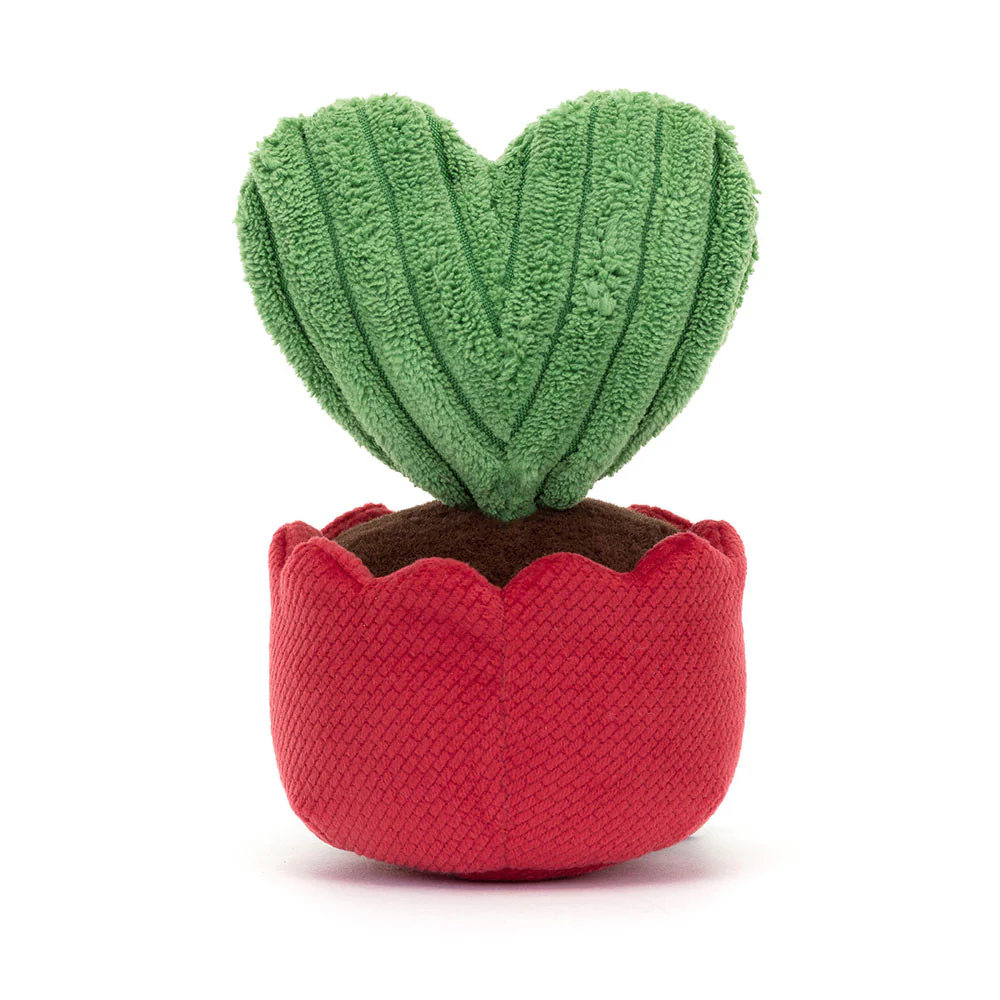 Amuseables Kerrii Cactus - Image 8