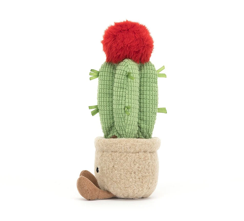 Amuseables Moon Cactus - Image 2