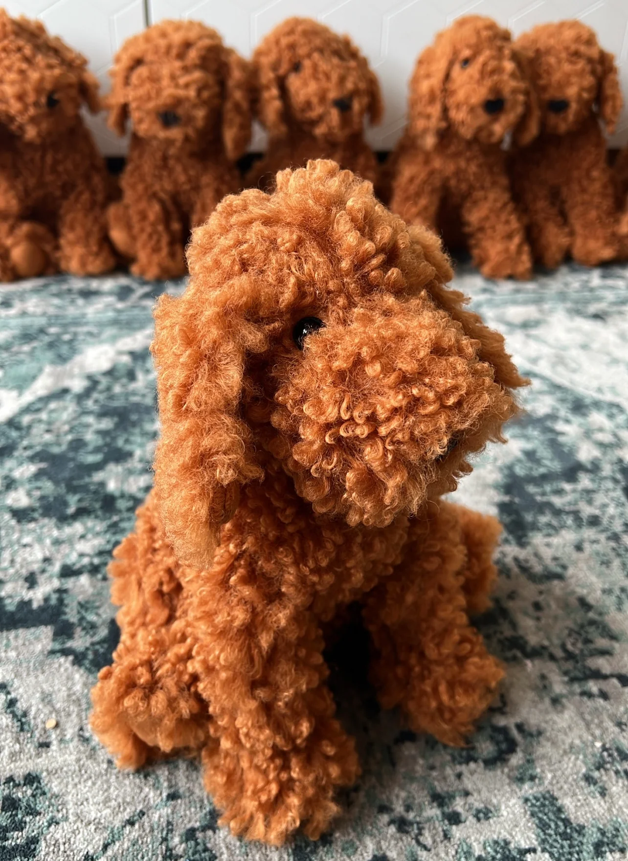 Cooper Doodle Dog - Image 3