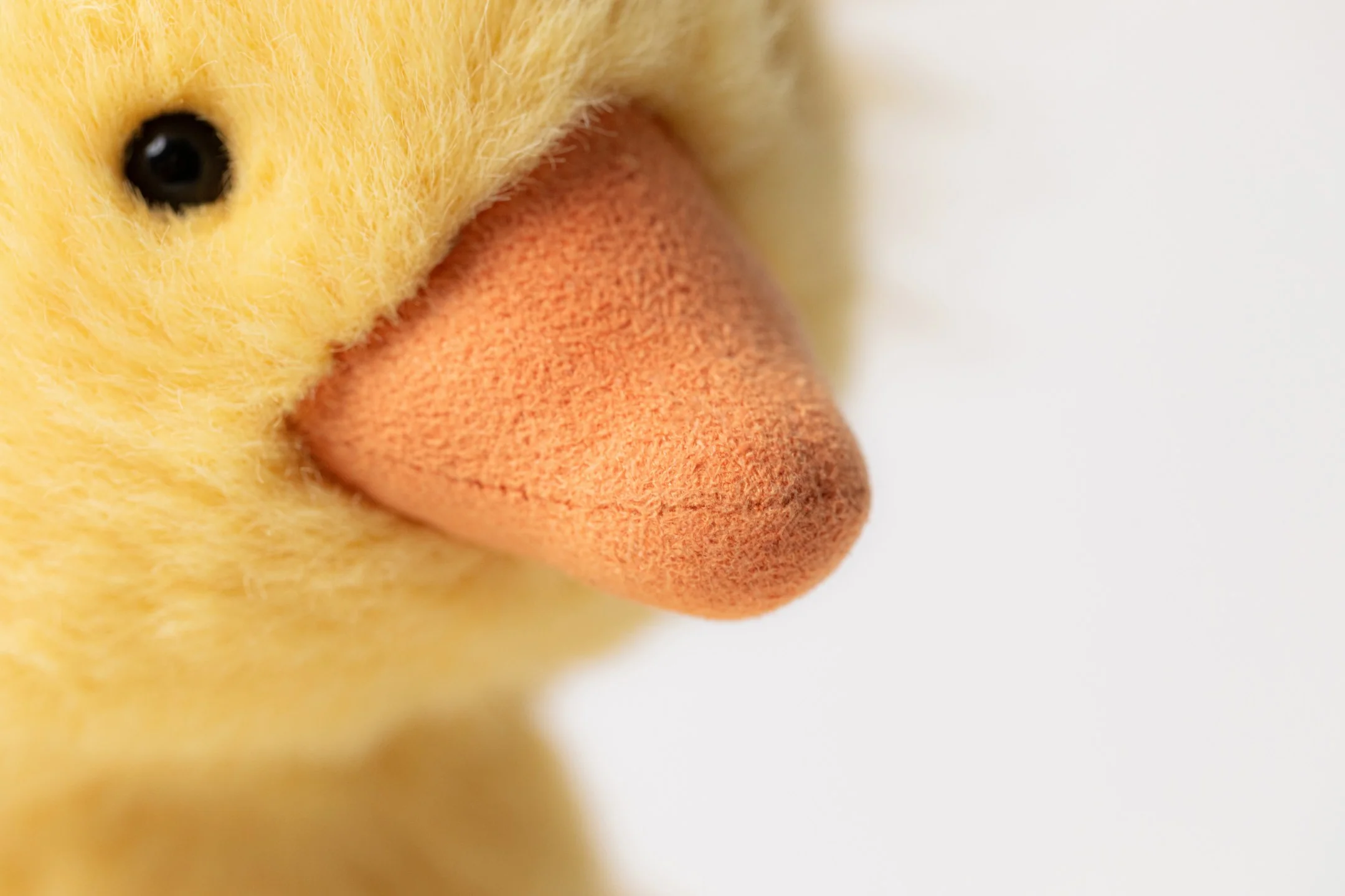 Dorit Duckling - Image 6