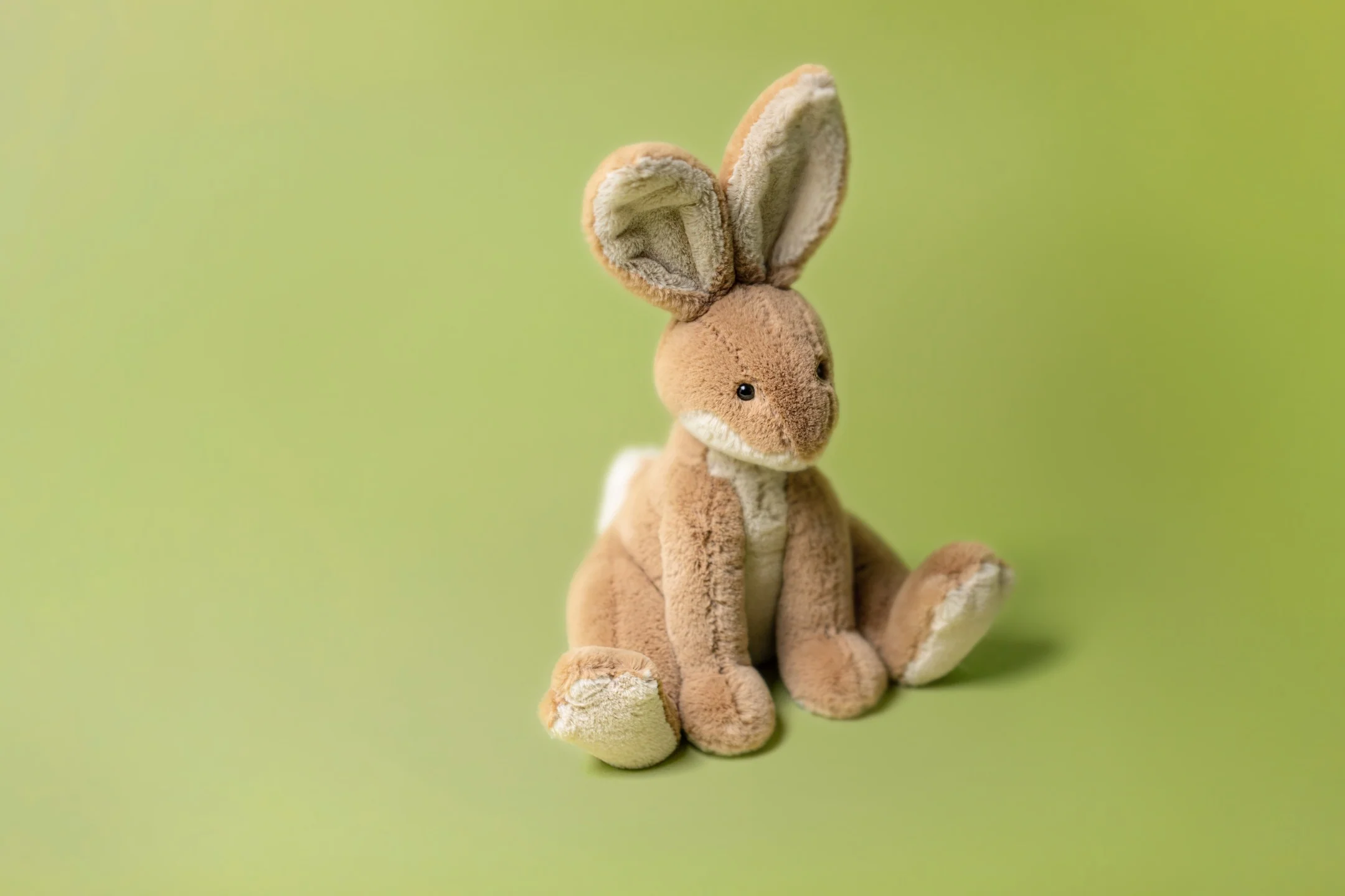 Horticus Hare - Image 2