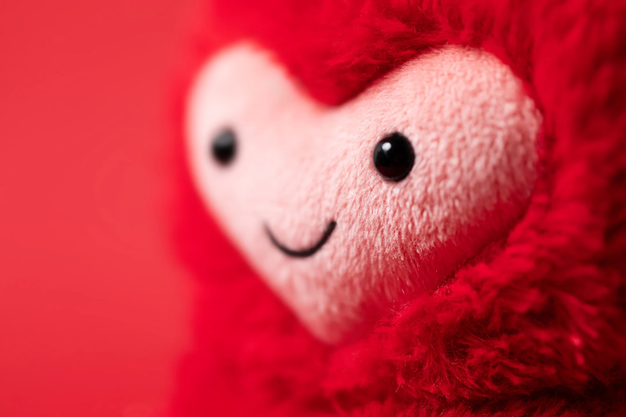 Hugg McSnugg - Image 2