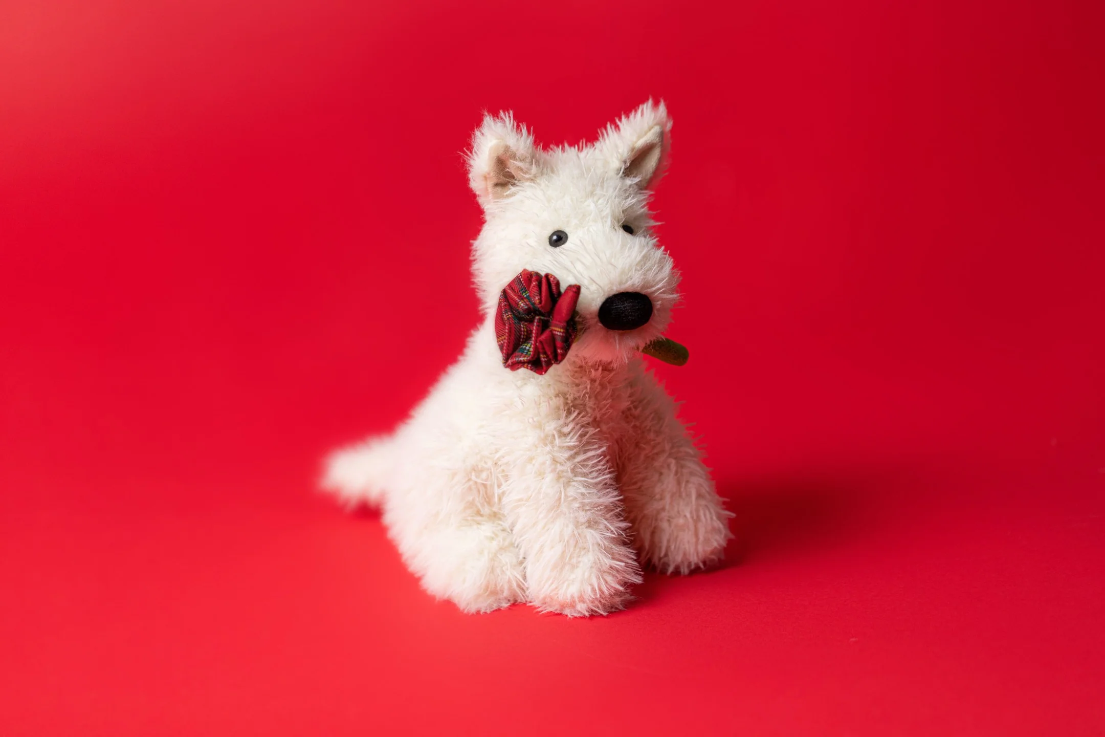 Munro Dog Holding Rose - Image 2