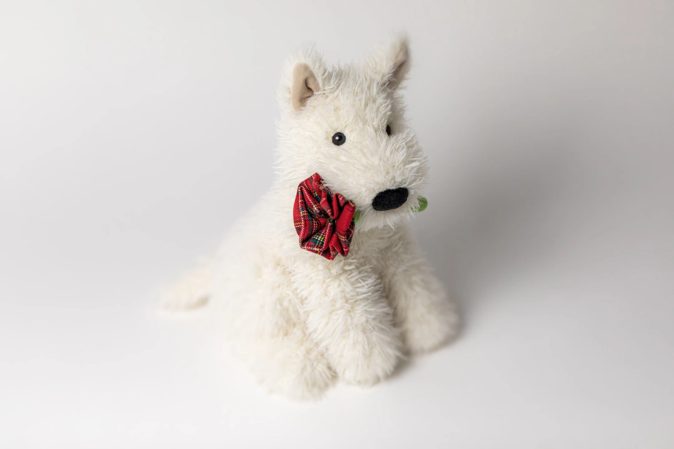 Munro Dog Holding Rose - Image 6