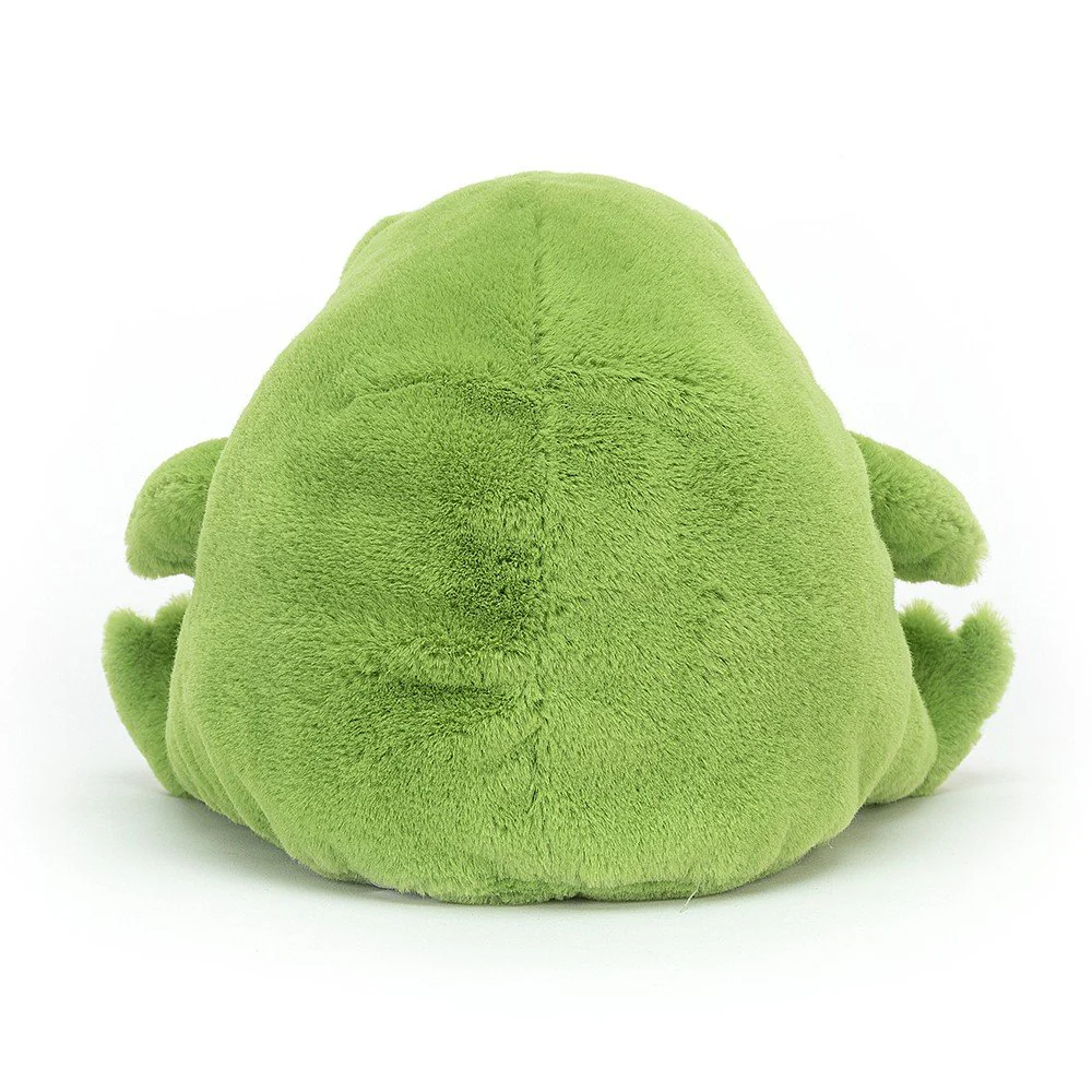 Ricky Rain Frog - Image 3