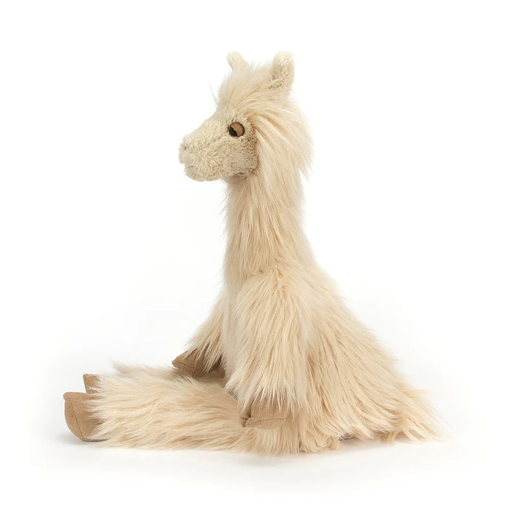 Luis Llama - Image 2