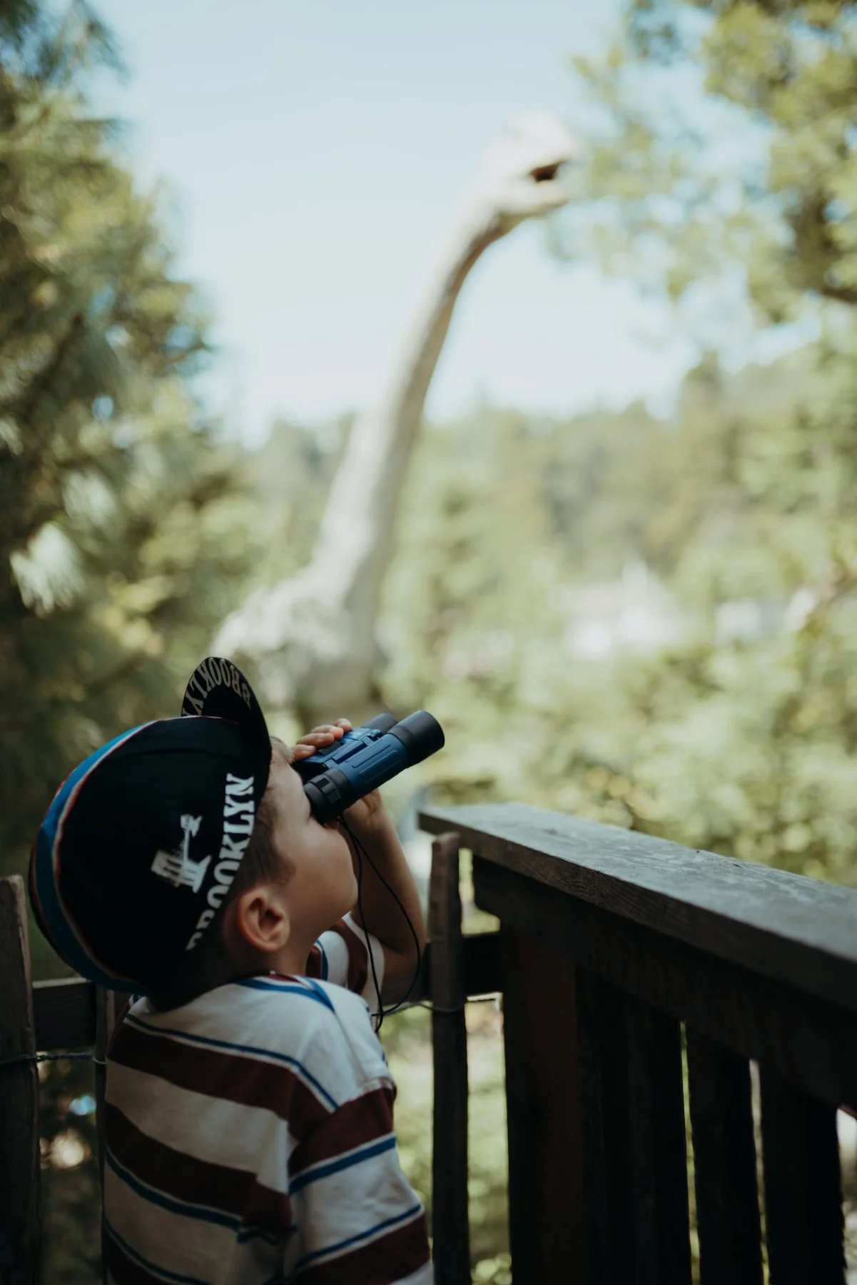 Kidybinocular - Image 6