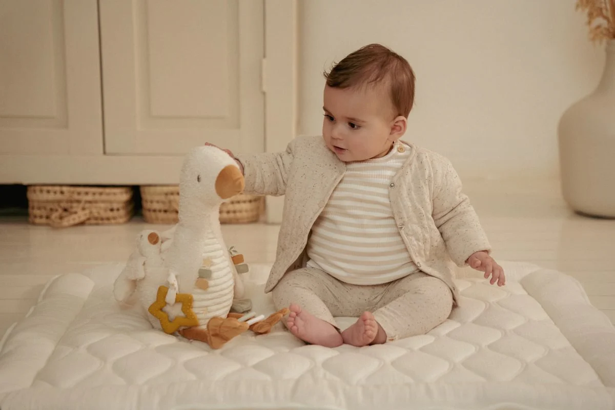 Activity Goose - Image 4