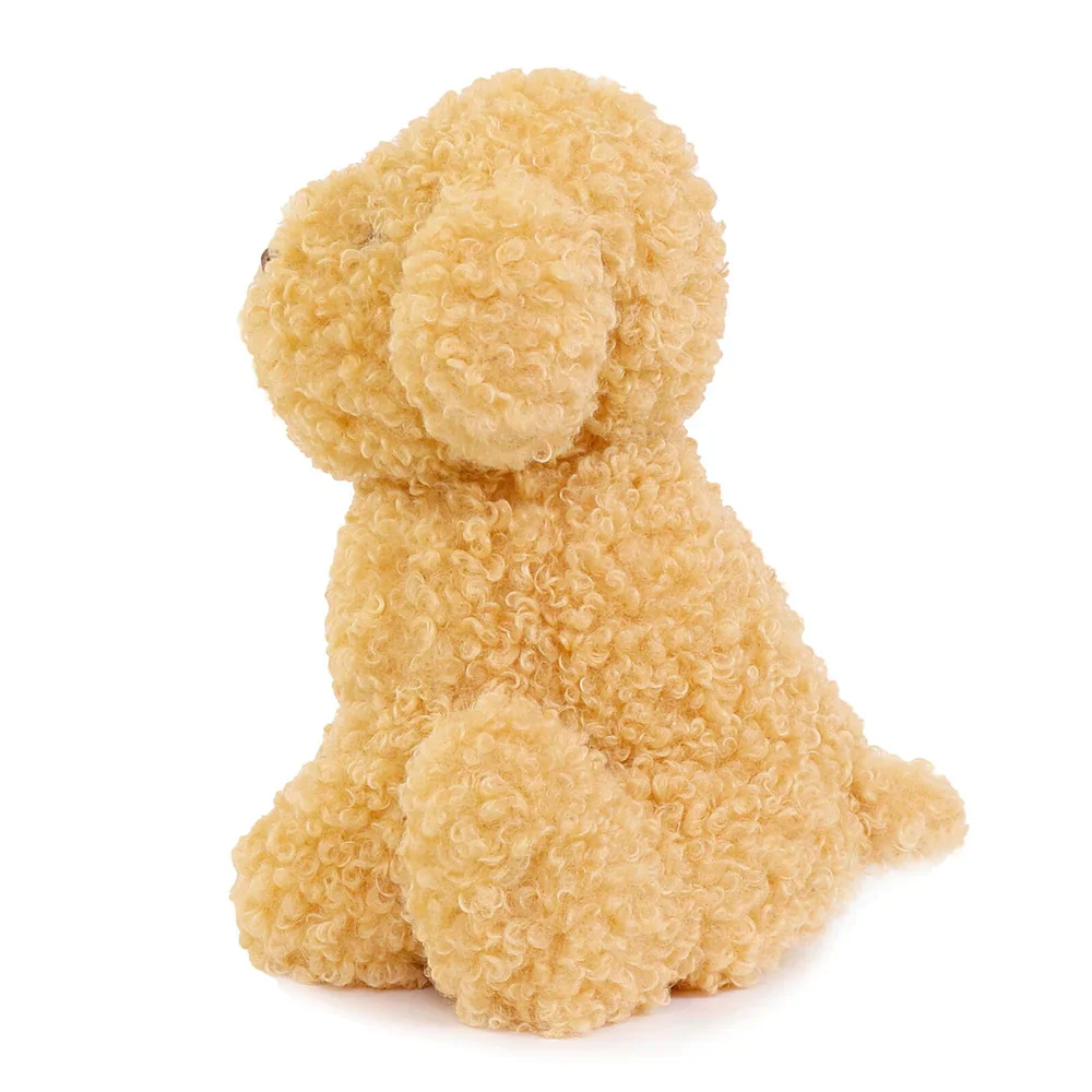 Luca Labradoodle - Image 4