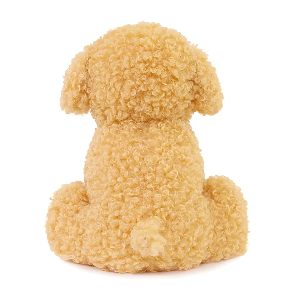 Luca Labradoodle - Image 5