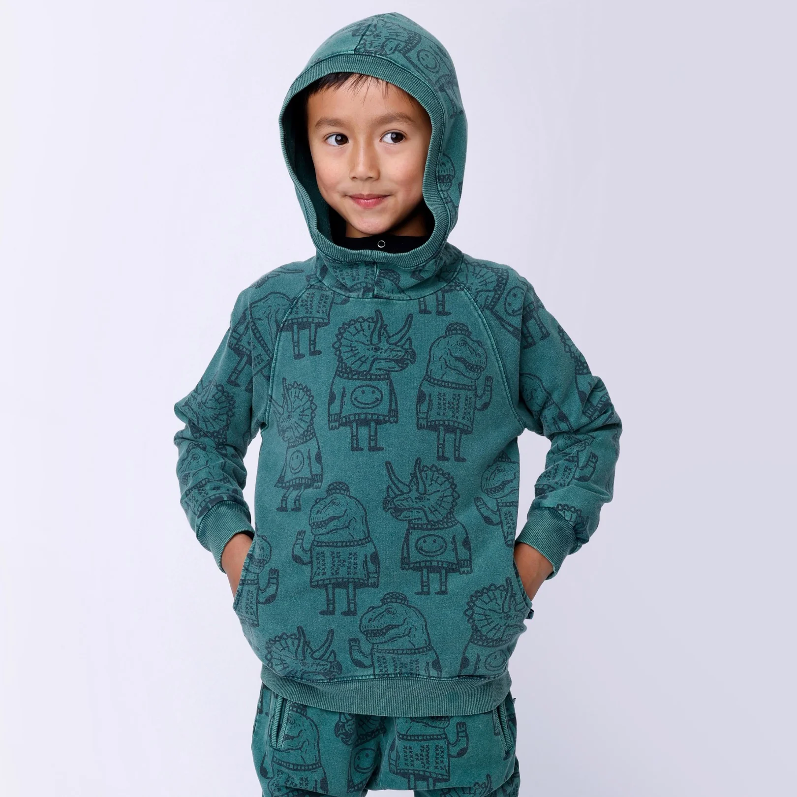 Dino Buddies Hood - Forest Wash - Image 2