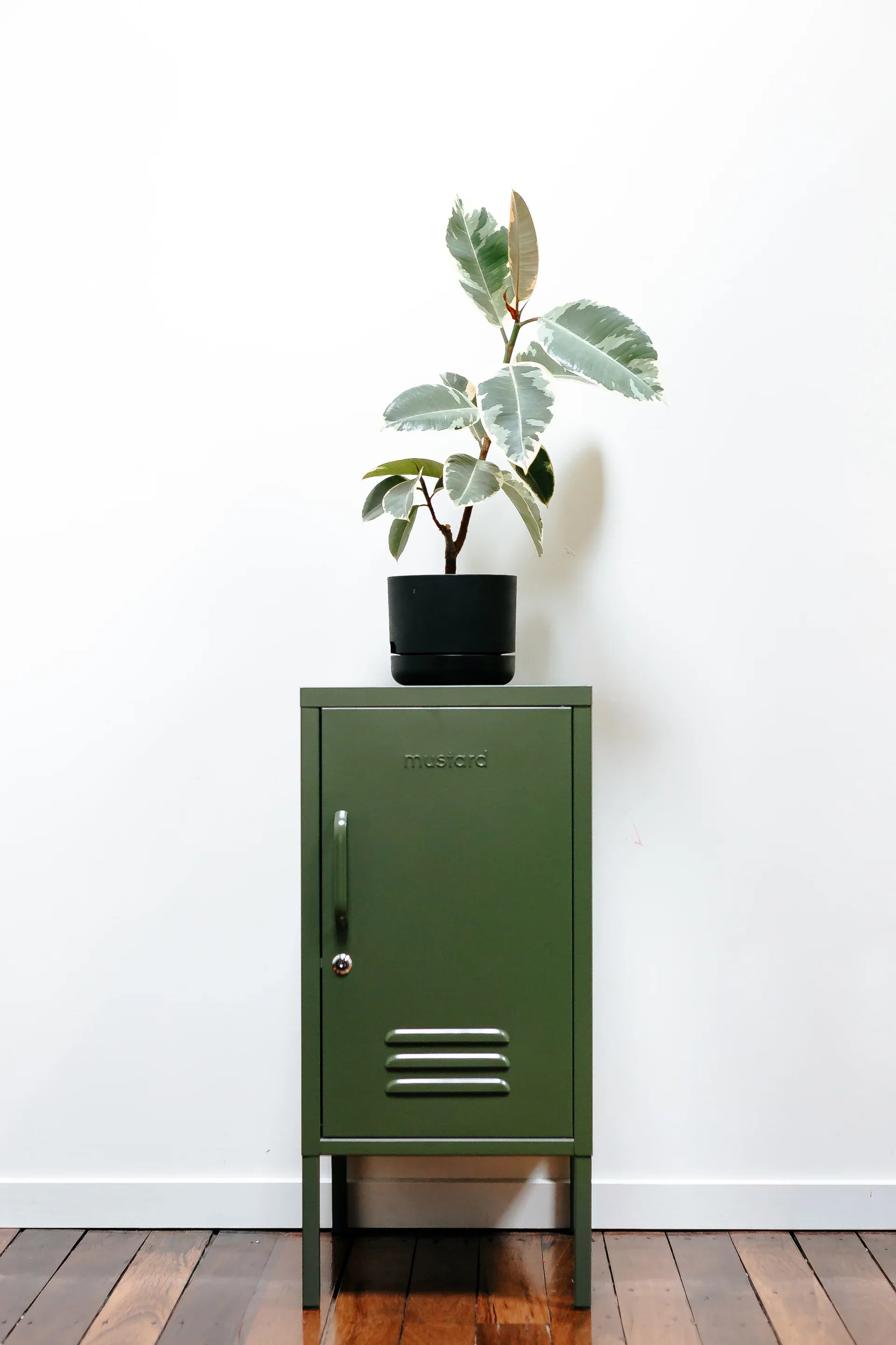 The Shorty - Olive - Image 3