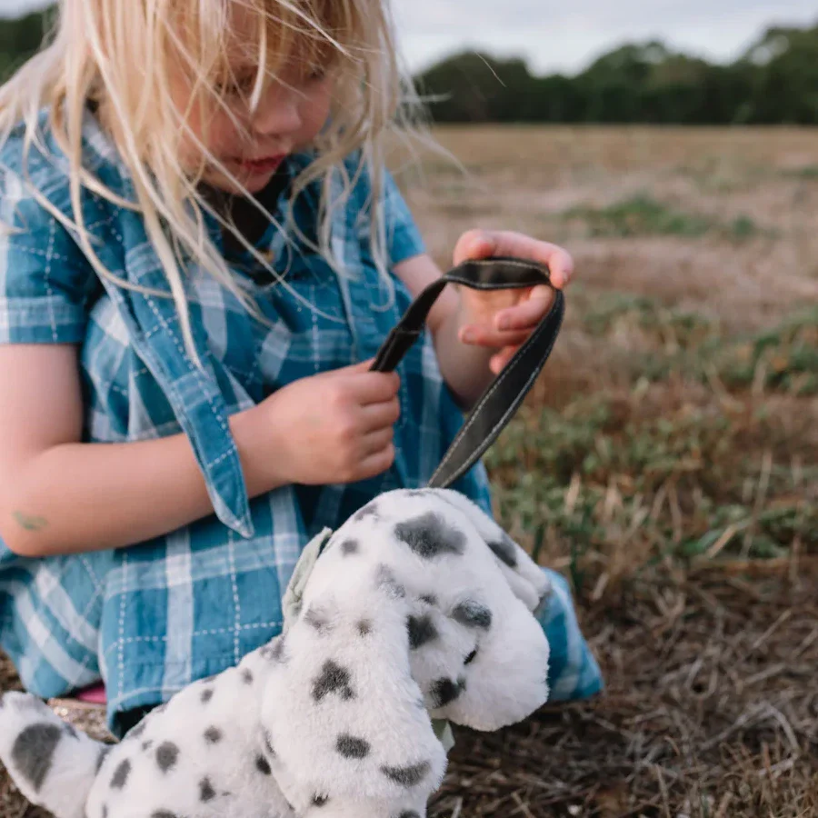 Debbie the Dalmation - Image 2