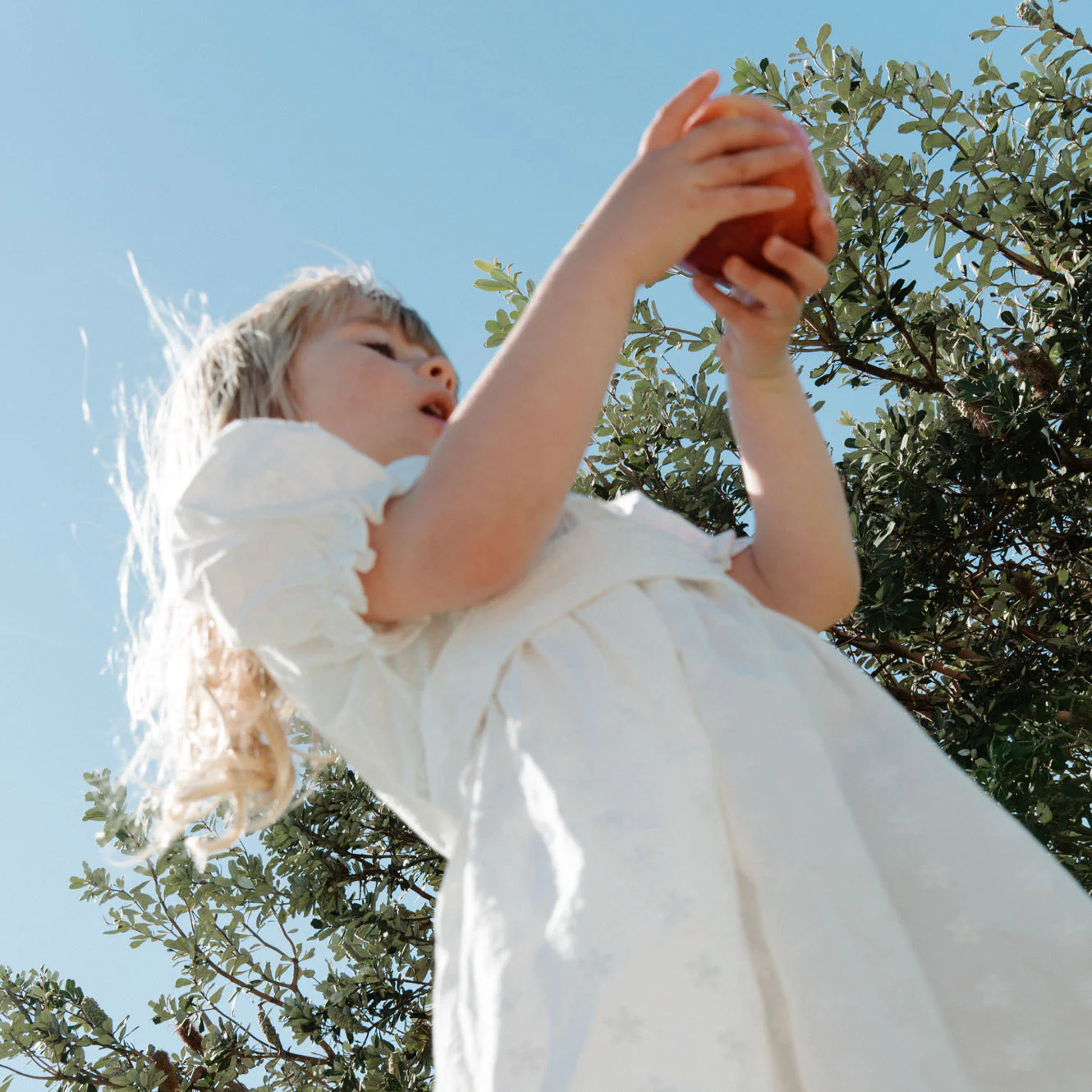 Annabelle Dress - Ivory Flora - Image 3