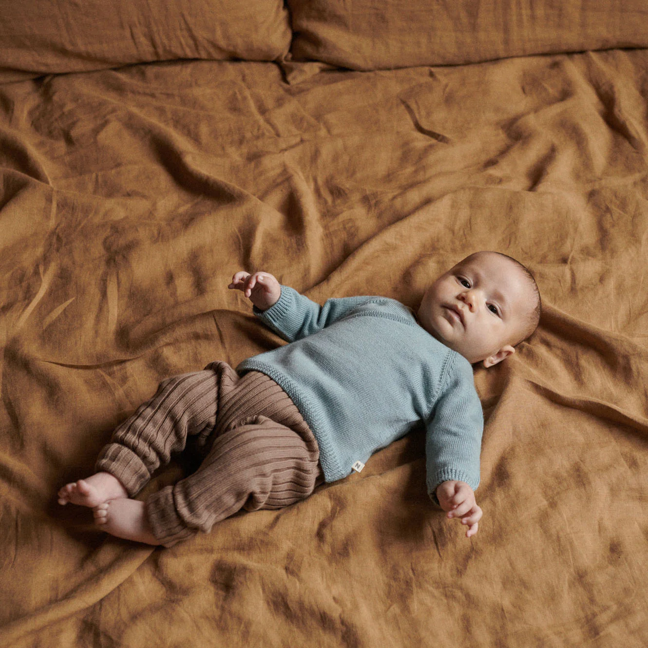 Lou Pants Cotton Knit - Cub - Image 2