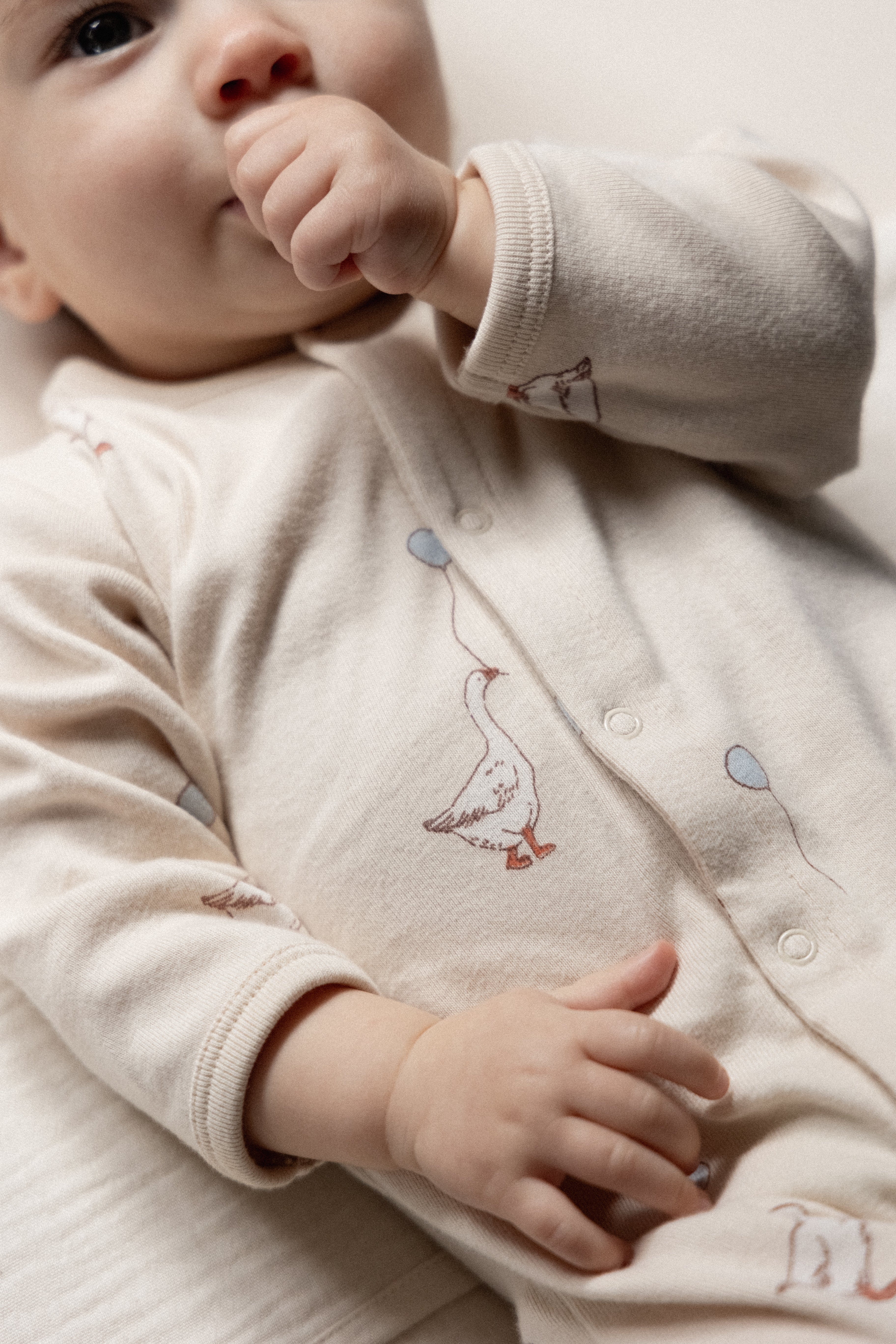 Stretch & Grow - Goose Lullaby Print - Image 5