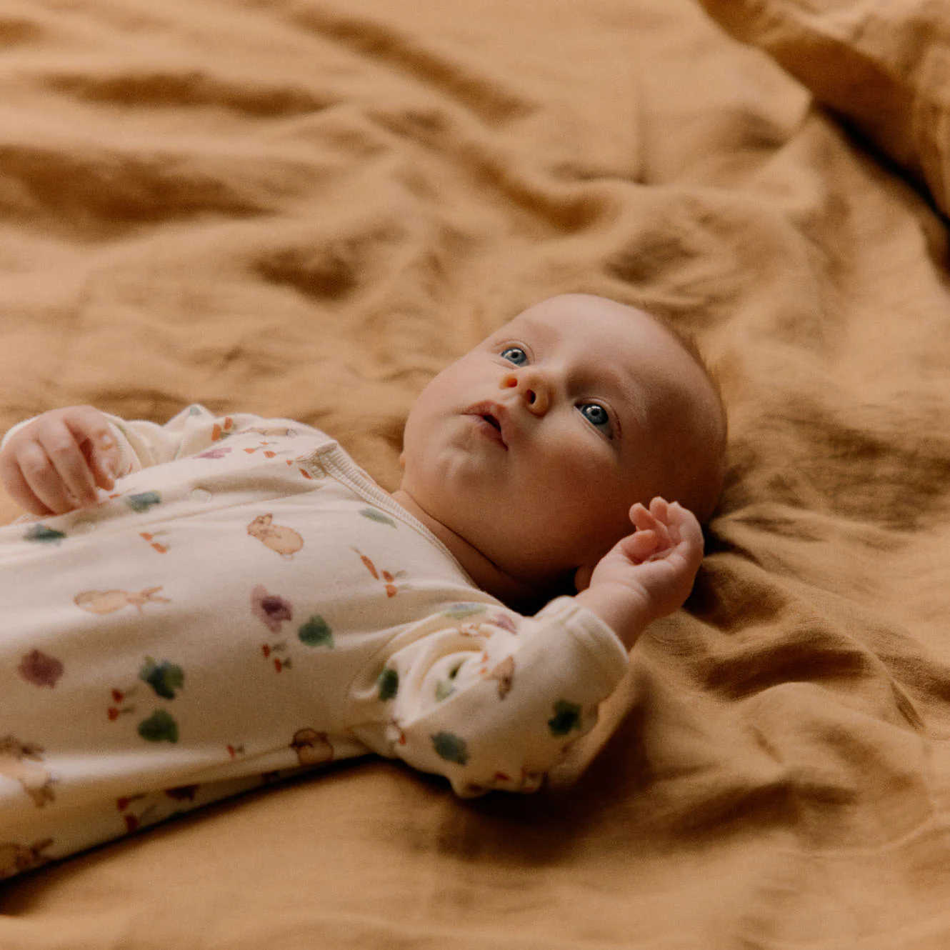 Stretch & Grow Suit - Country Bunny Print - Image 3