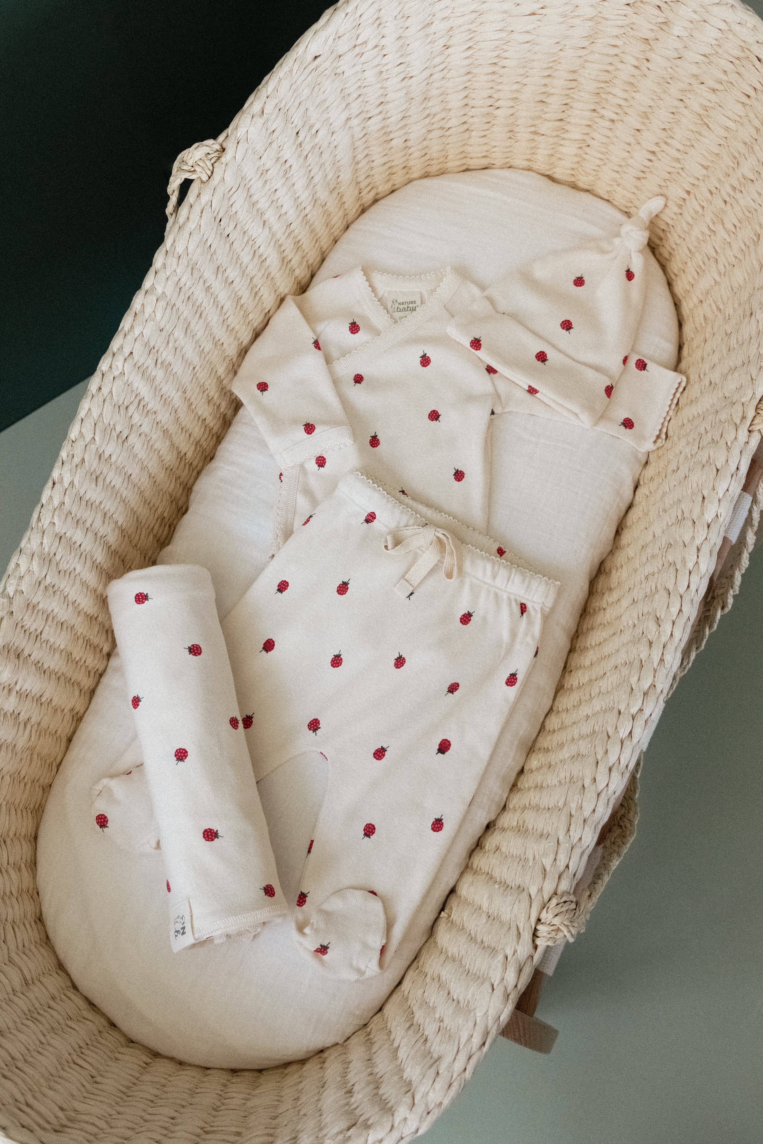Welcome Home Bundle - Raspberry Print - Image 2