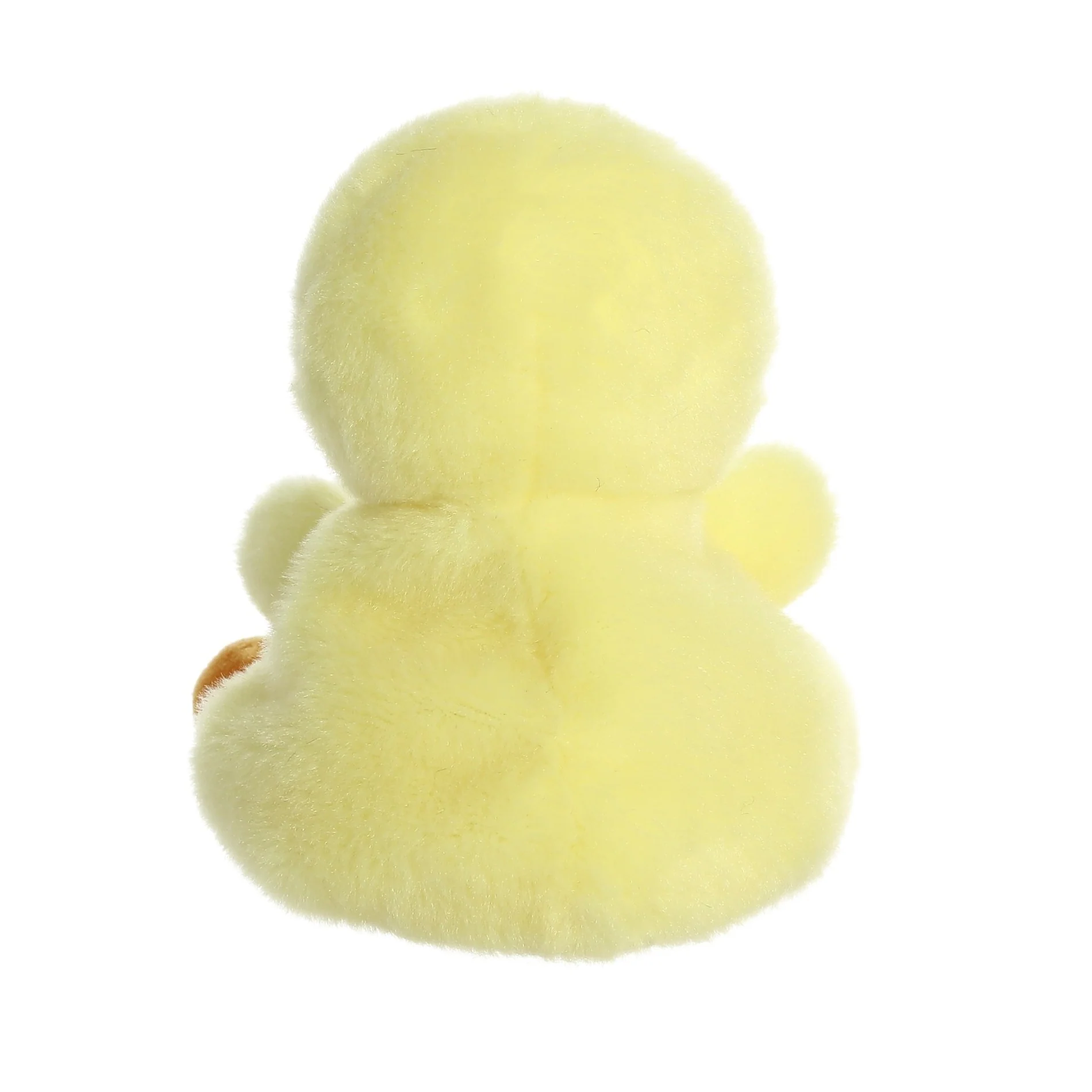 Betsy Chick - Image 4