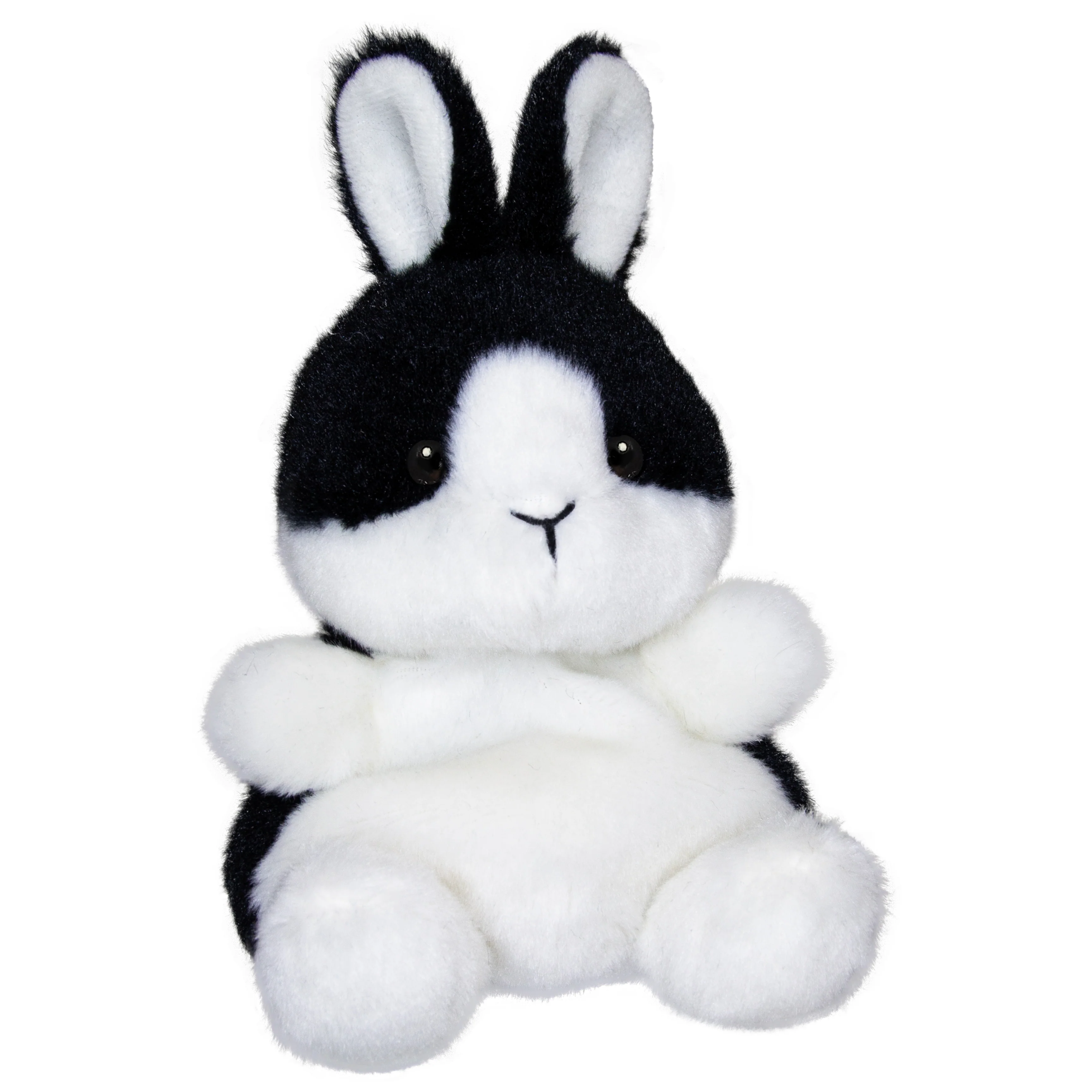 Dutch Bunny - Image 2