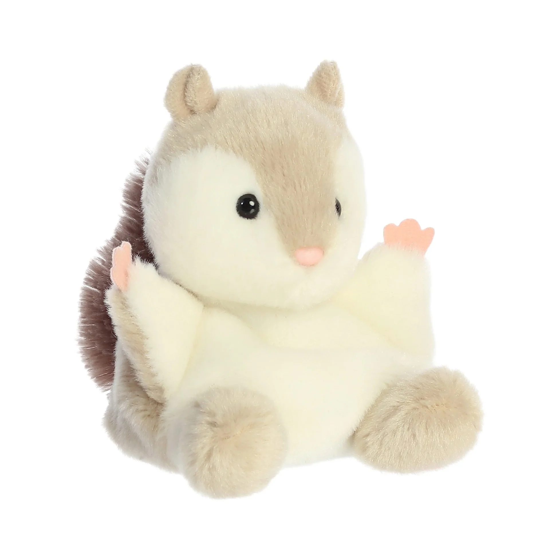 Flaps Fyling Squirrel - Image 2