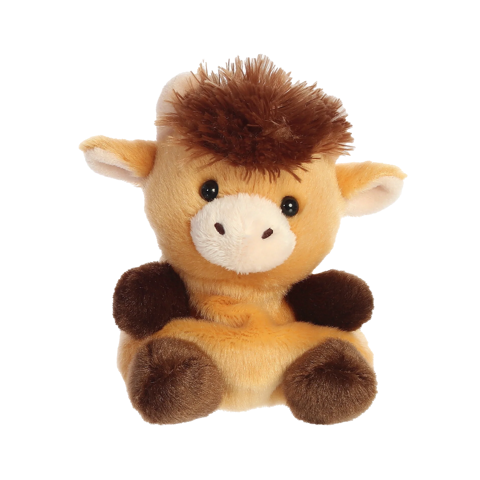 Hubert Highland Cow