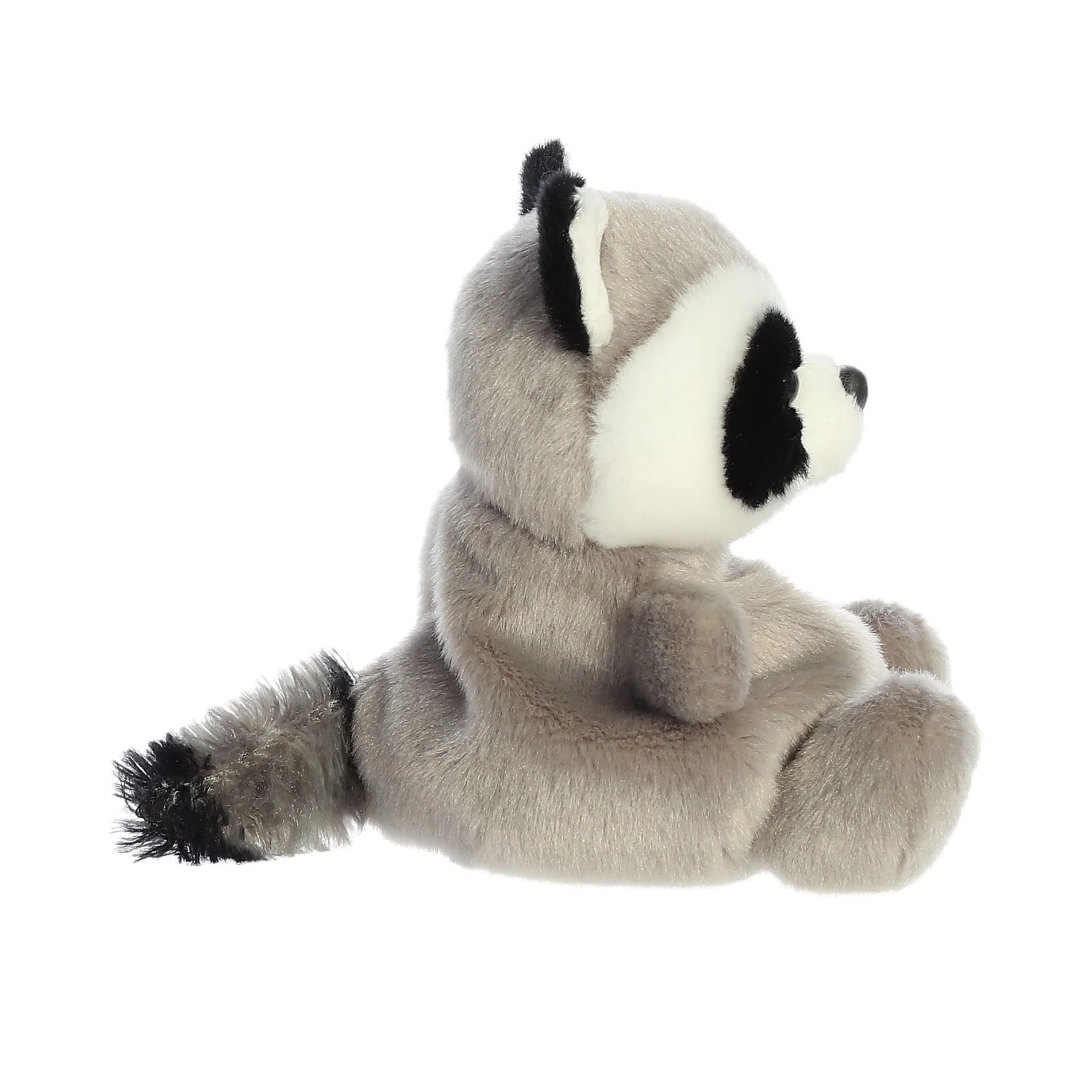 Rascal Raccoon - Image 3