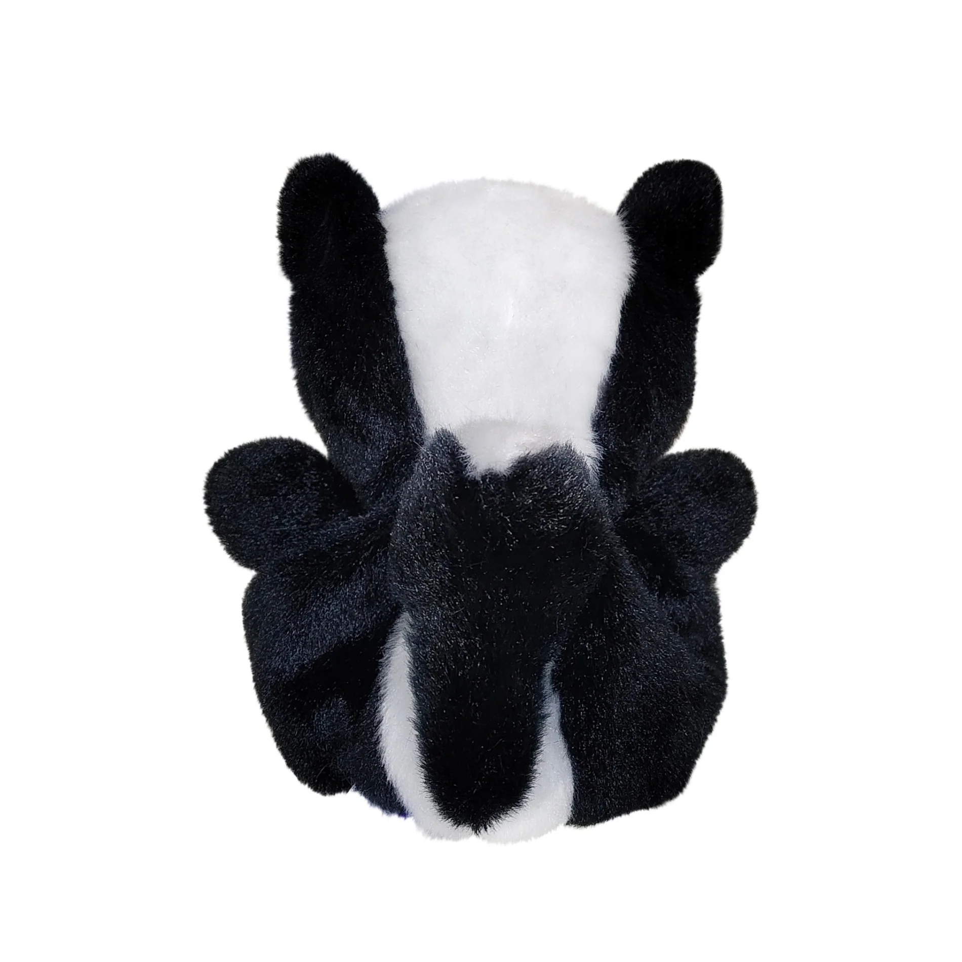 Scout Skunk - Image 4