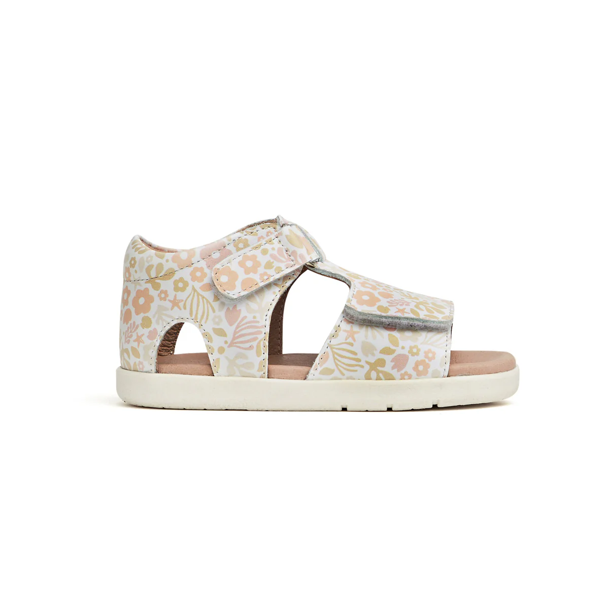 Bailey - Coral Garden - Image 3