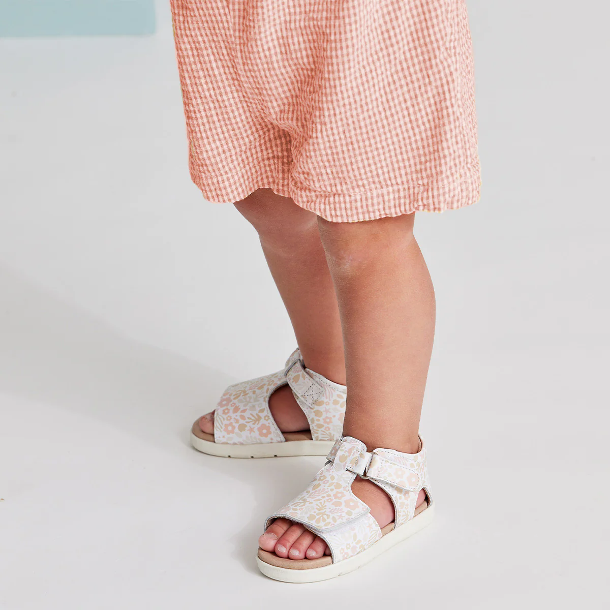 Bailey - Coral Garden - Image 4