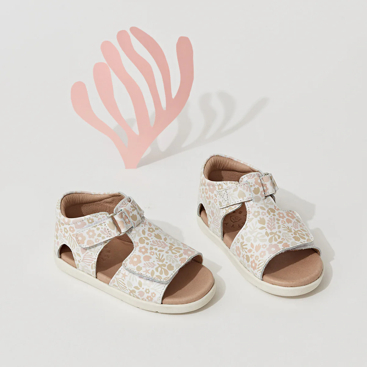 Bailey - Coral Garden - Image 5