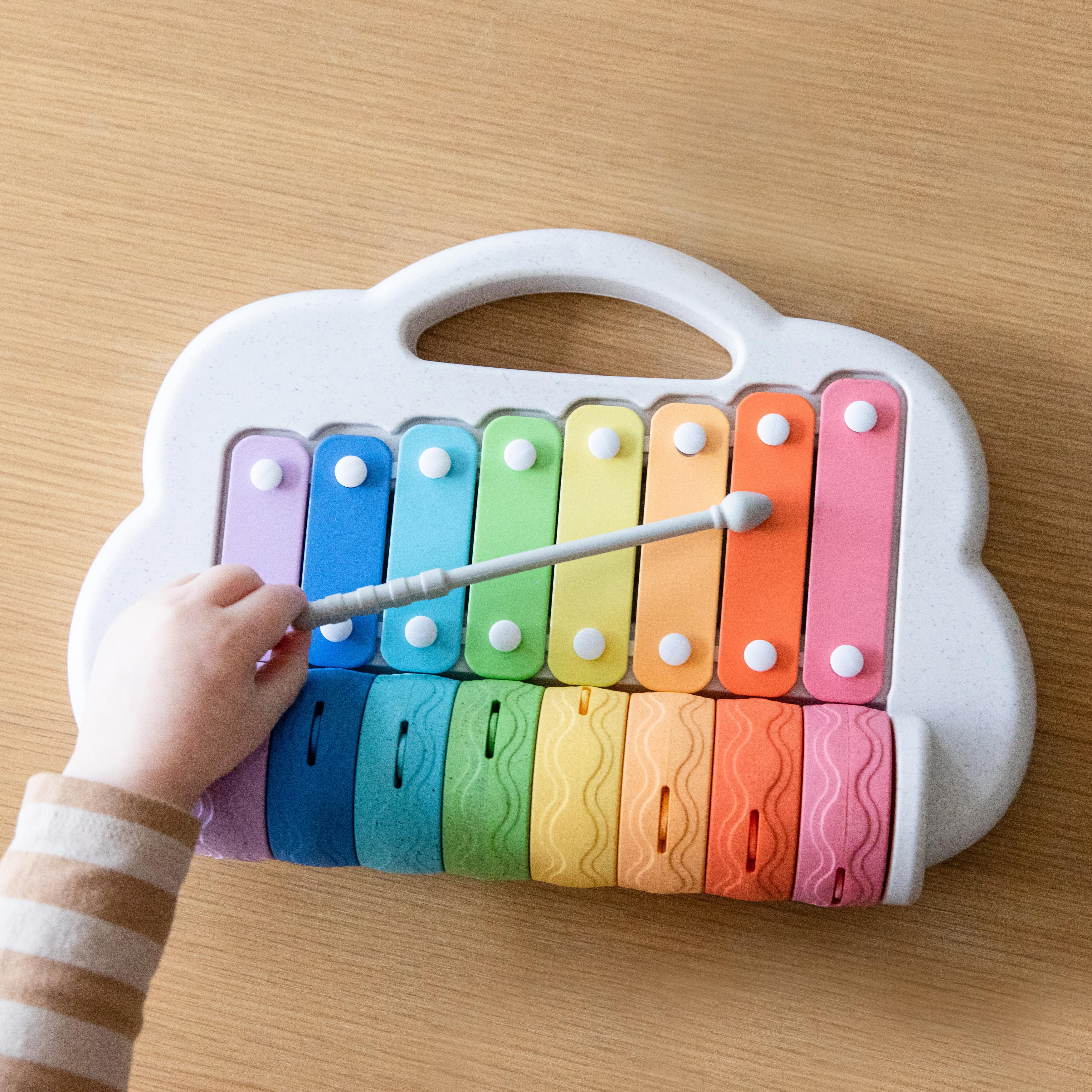 Rainbow Roller Xylophone - Image 3