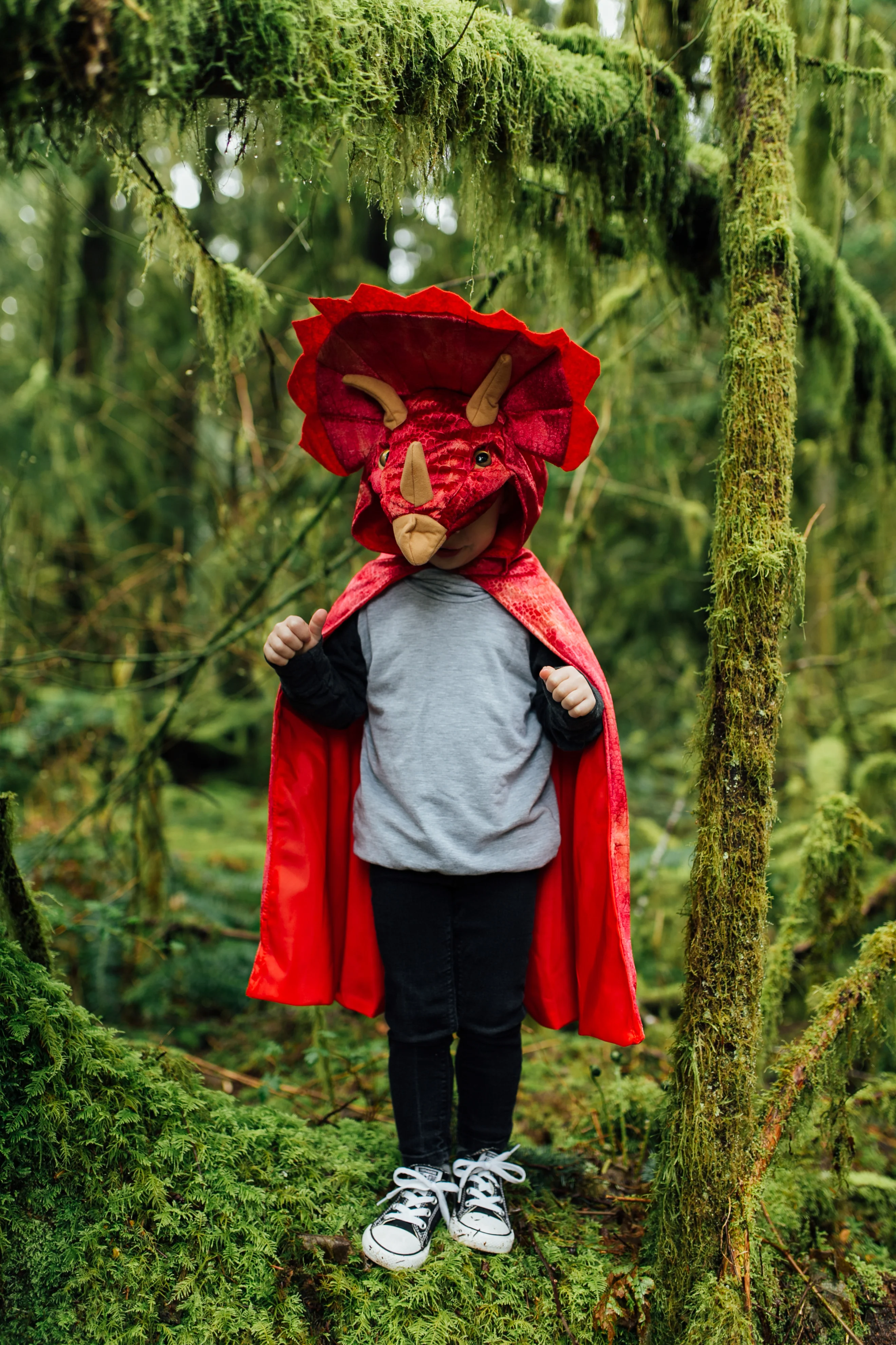 Red Triceratops Hooded Cape - Size 4-5 - Image 5