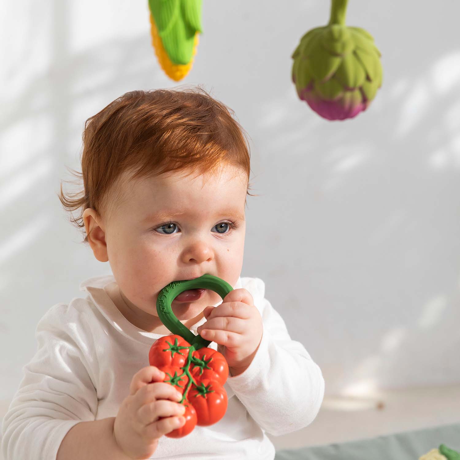 Renato The Tomato Teether - Image 2