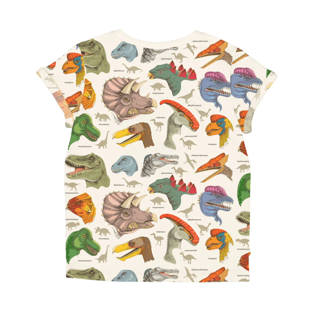 Rock Your Baby Dino Science T-Shirt Boxy Fit - Image 2