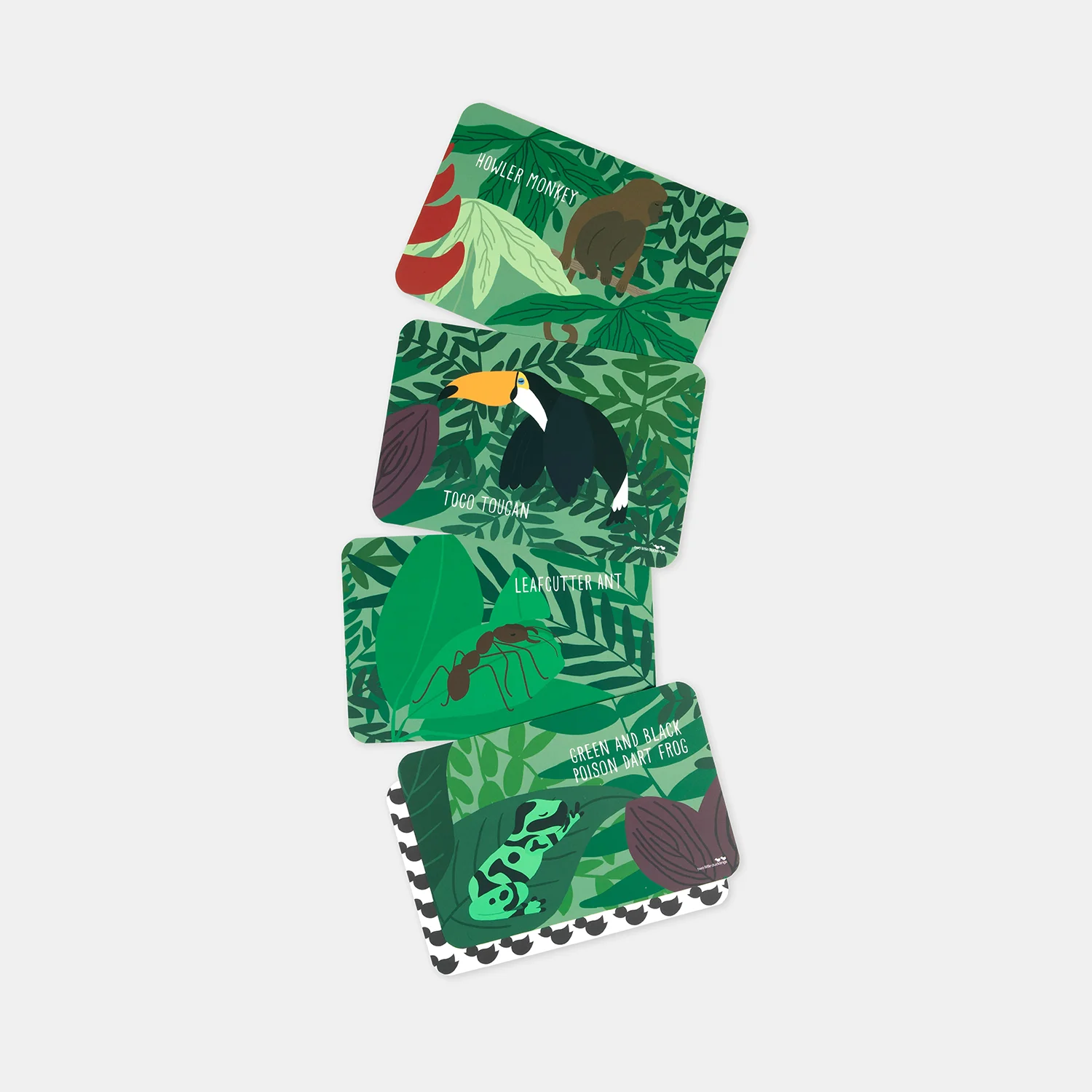 Snap and Memory Game - Jungle - Image 2