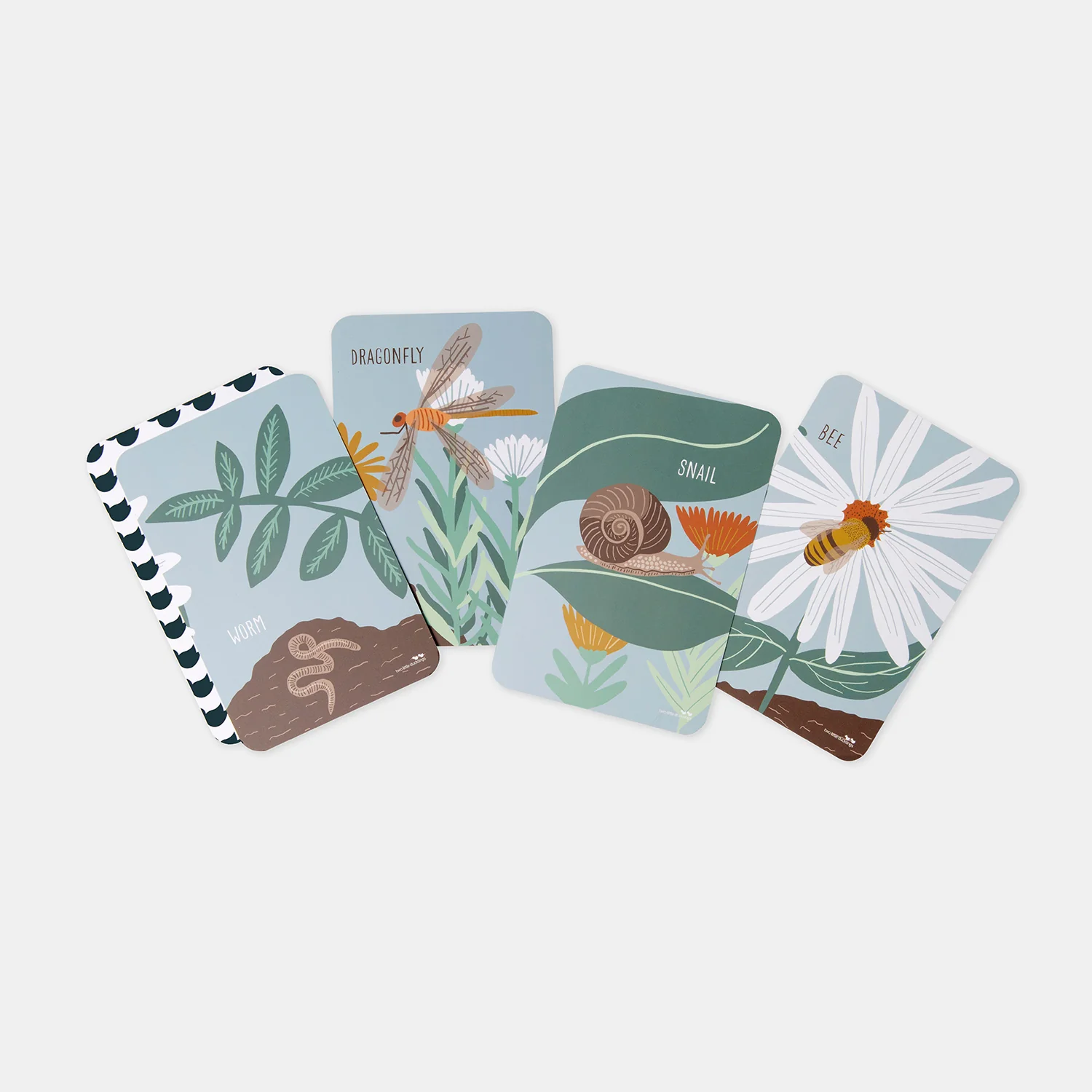 Snap and Memory Game - Garden Friends - Image 2