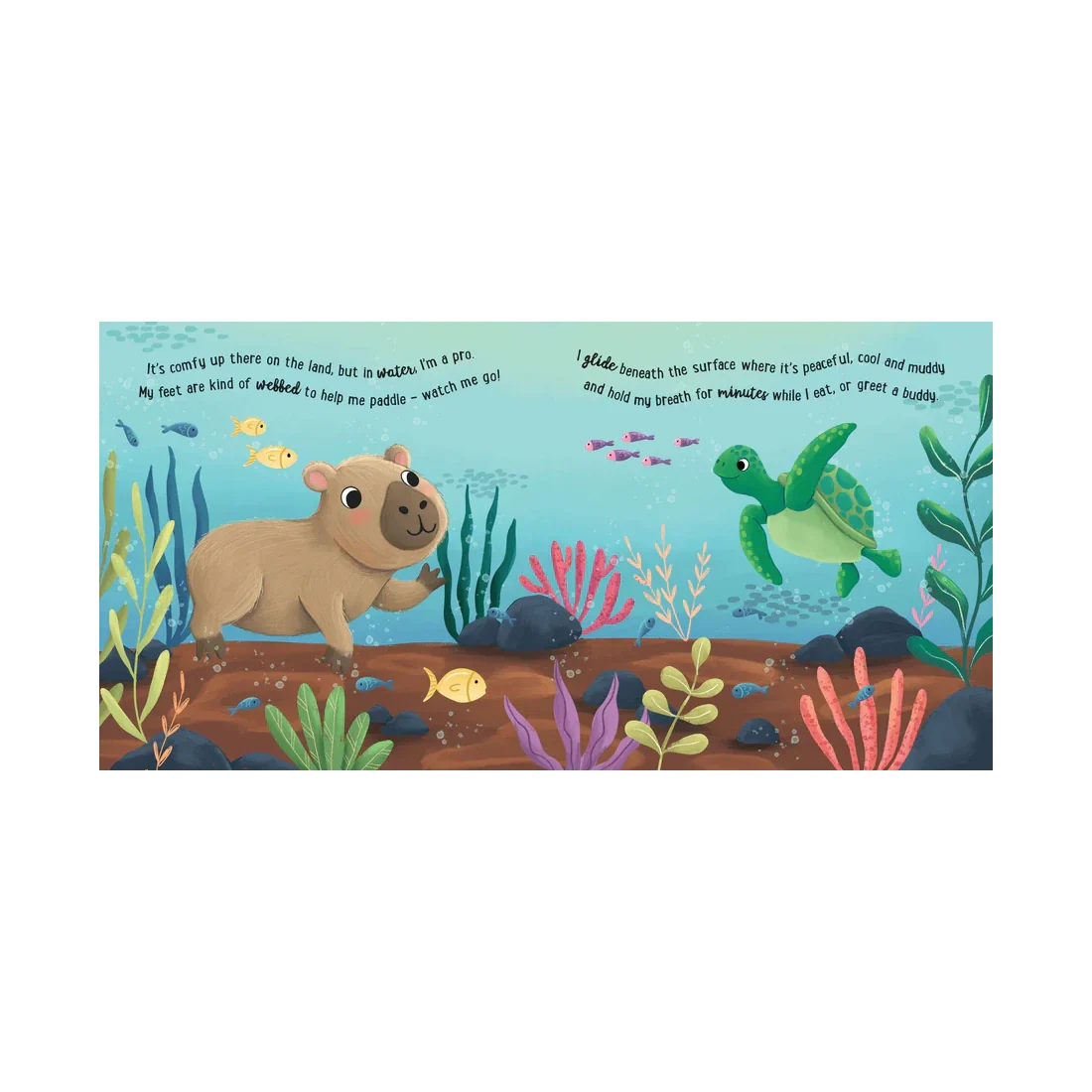 Story Time - Padded Board Book - I Love Being a Capybara - Image 3