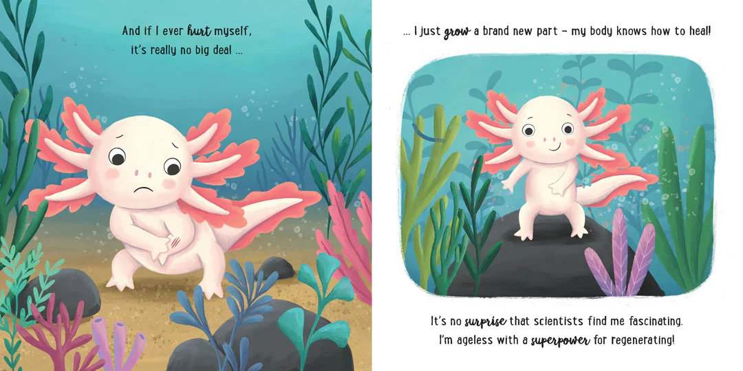 Story Time - Padded Board Book - I Love Being an Axolotl - Image 4