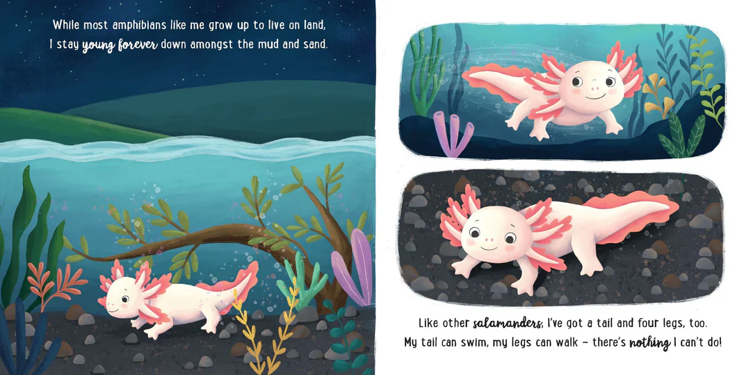 Story Time - Padded Board Book - I Love Being an Axolotl - Image 5