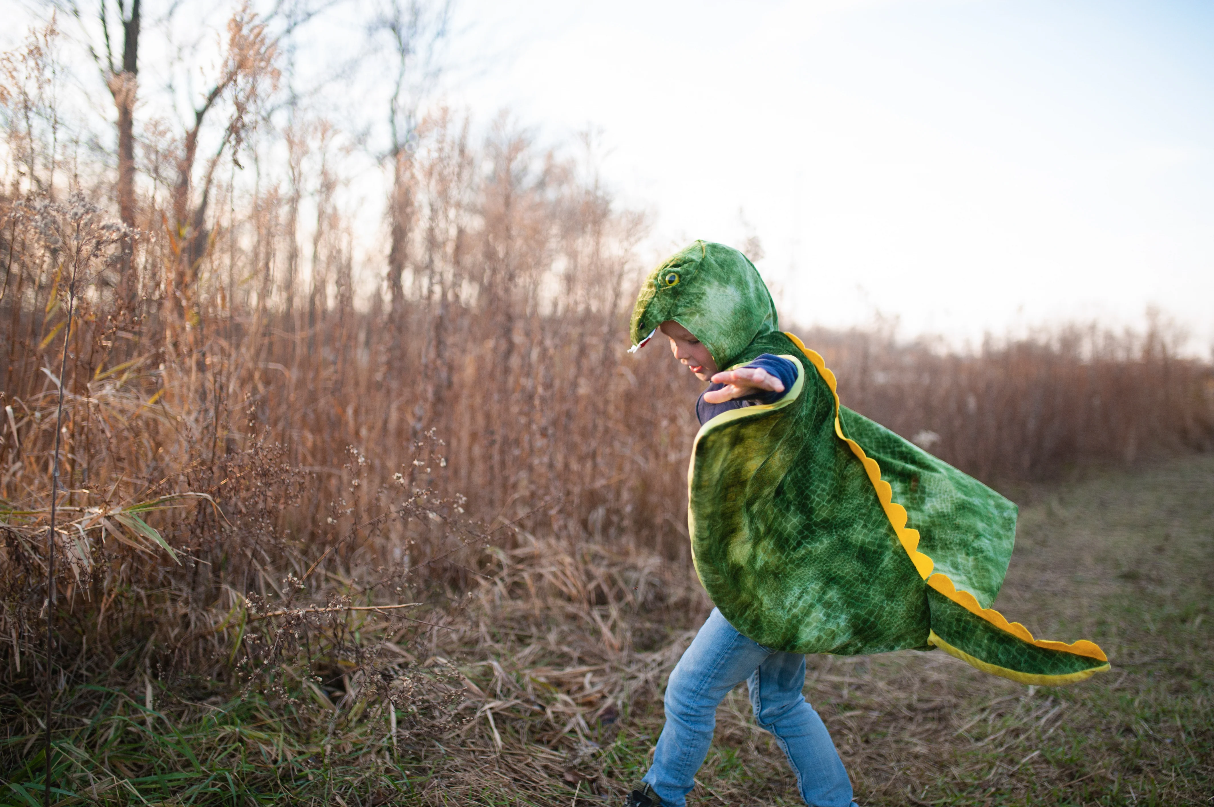 T-Rex Hooded Cape - Size 4-5 - Image 4