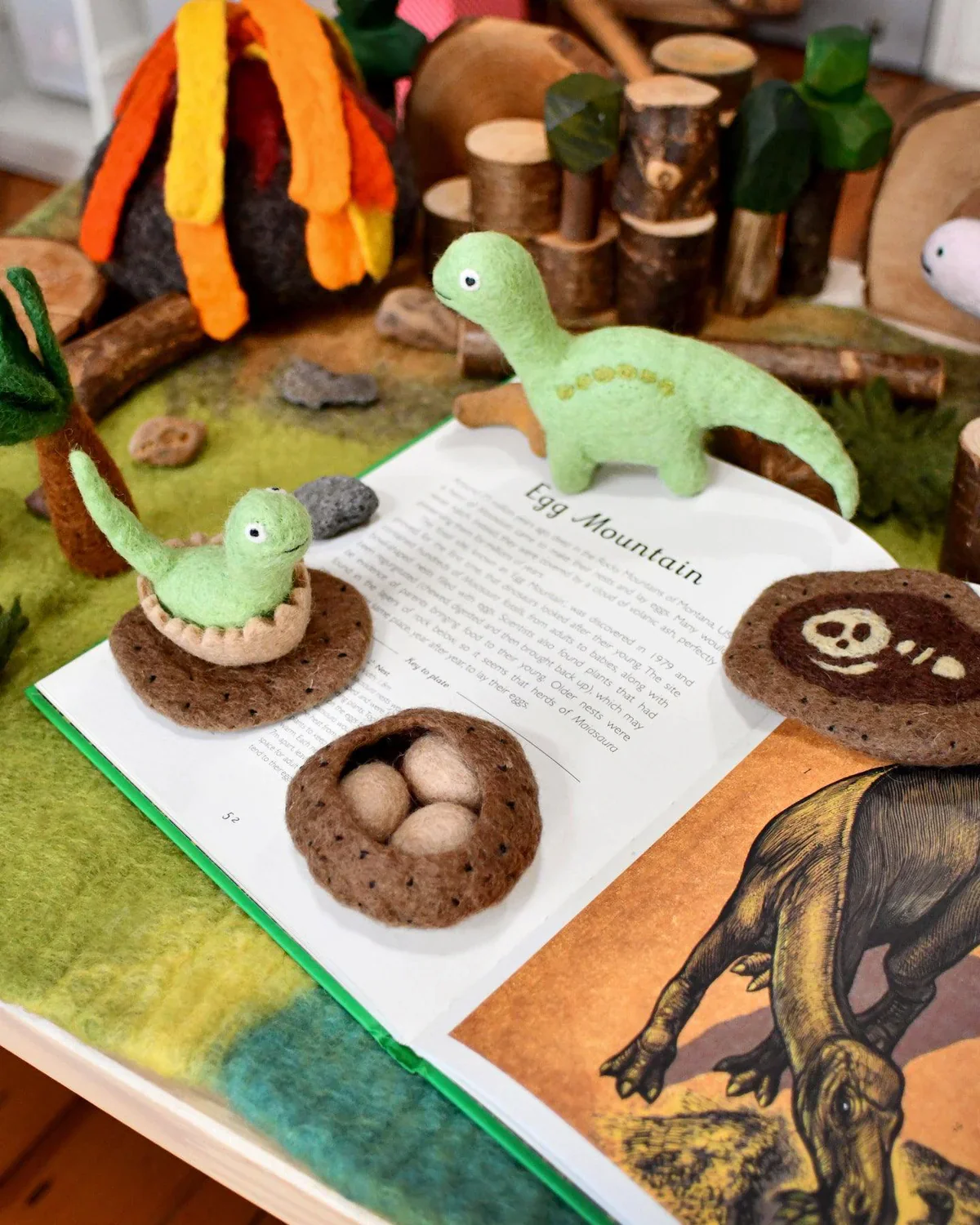 Felt Life Stages of a Dinosaur - Brontosaurus - Image 2