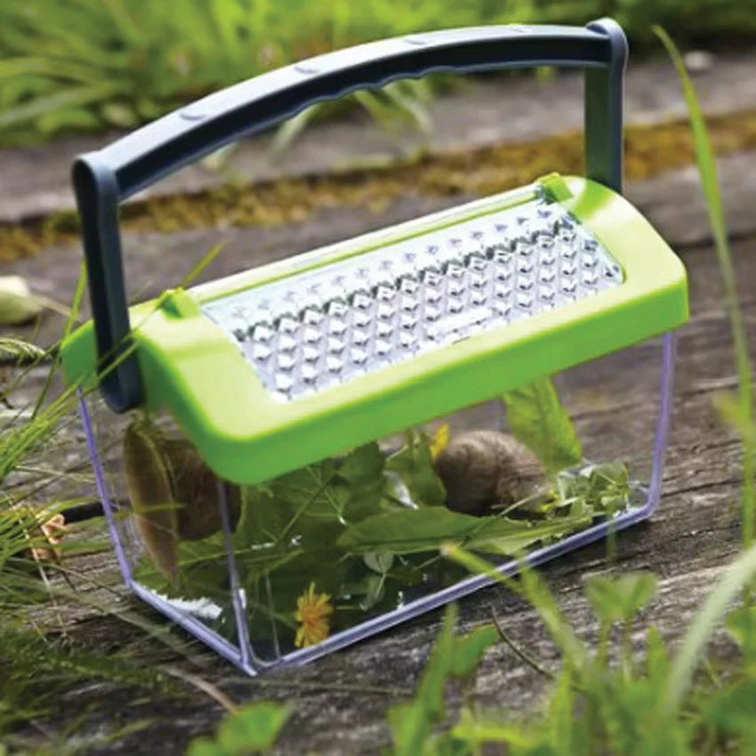 Terra Kids Insect Box - Image 2