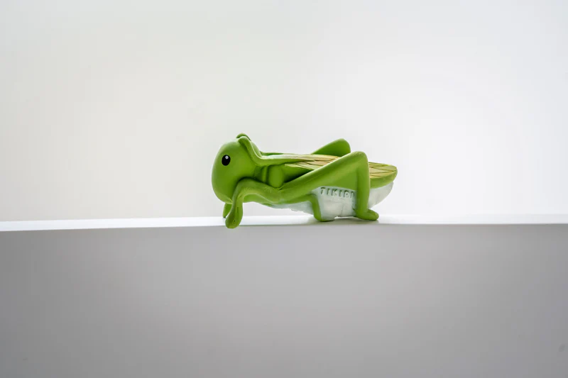 My First Garden Friend - Grasshopper - Image 3