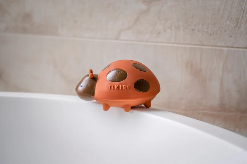 My First Garden Friend - Ladybird - Image 4