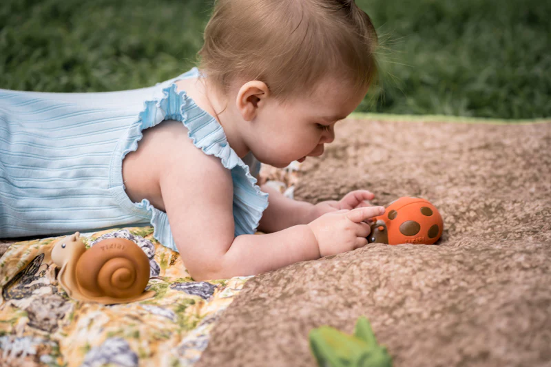 My First Garden Friend - Ladybird - Image 8