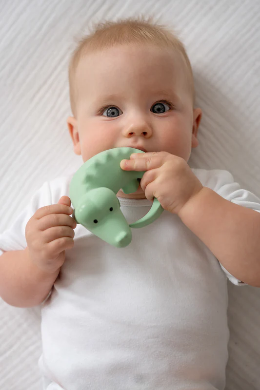 My First Zoo Animal Bundle - Image 3